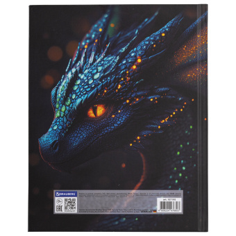 Дневник 5-11 класс 48 л., твердый, BRAUBERG, выборочный лак, с подсказом, "Dragon", 107195 за 60 ₽. Дневники для старших классов. Доставка по России. Без переплат!