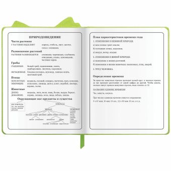 Дневник 1-4 класс 48 л., кожзам (твердая с поролоном), фигурный край, ЮНЛАНДИЯ, "Фея", 106932 за 207 ₽. Дневники для младших классов. Доставка по России. Без переплат!