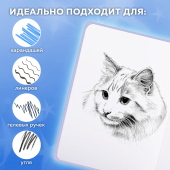 Скетчбук, белая бумага 120 г/м2, 145х203 мм, 80 л., резинка, твердый, FUNSTER (ФАНСТЕР), "Кот Тыгыдык", 116897 за 253 ₽. Альбомы, скетчбуки и бумага для графики и эскизов. Доставка по России. Без переплат!