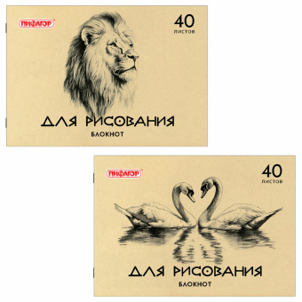 Блокнот для рисования, А4, 40 л., обложка офсет, ПИФАГОР, 200х285 мм, "Лебеди/Лев", 126962 за 57 ₽. Альбомы и папки для рисования. Доставка по России. Без переплат!