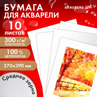 Бумага для акварели 300 г, 270x390 мм, среднее зерно, 10 листов, BRAUBERG ART PREMIERE, 115335 за 354 ₽. Альбомы и бумага для акварели и масла. Доставка по России. Без переплат!