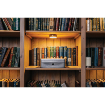 Ящик для денег, ценностей, документов, печатей, 90х180х250 мм, ключевой замок, серебристый, BRAUBERG, 291059 за 1&nbsp;449 ₽. Ящики для денег, ценностей, документов, печатей. Доставка по России. Без переплат!