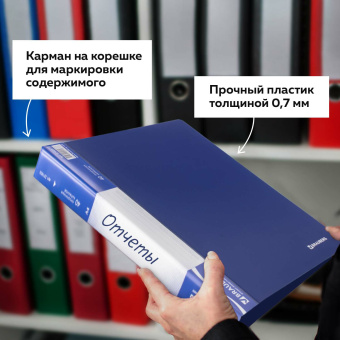Папка 40 вкладышей BRAUBERG стандарт, синяя, 0,7 мм, 221603 за 173 ₽. Папки с вкладышами (файлами). Доставка по России. Без переплат!