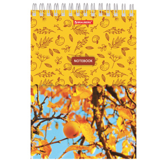 Блокнот А5, 146х205 мм, 60 л., гребень, картон, жесткая подложка, клетка, BRAUBERG, "Четыре сезона", 129811 за 54 ₽. Блокноты. Доставка по России. Без переплат!