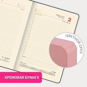 Ежедневник датированный 2025 А5 138x213 мм, BRAUBERG "Pastel", под кожу, гибкий, розовый, 115886 за 118 ₽. Ежедневники с покрытием "под кожу и ткань". Доставка по России. Без переплат!
