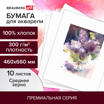 Бумага для акварели ХЛОПОК 100%, 300 г/м2, 460x660 мм, среднее зерно, 10 листов, BRAUBERG ART, "PREMIERE", 113231 за 1 816 ₽. Альбомы и бумага для акварели и масла. Доставка по России. Без переплат!
