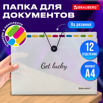 Папка-органайзер на резинке 12 отделений, BRAUBERG "Glassy", А4, прозрачная, 271929 за 252 ₽. Папки пластиковые с отделениями. Доставка по России. Без переплат!