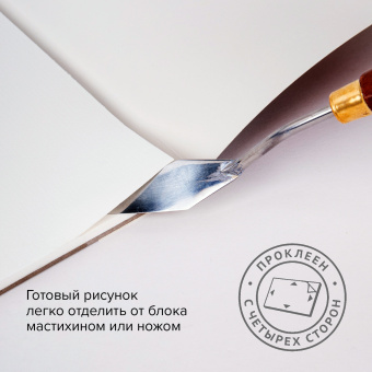 Папка для акварели/планшет, 300 г/м2, 270х390 мм, склейка, среднее зерно, 20 л., BRAUBERG ART PREMIERE, 113248 за 568 ₽. Альбомы и бумага для акварели и масла. Доставка по России. Без переплат!