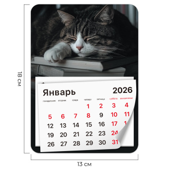 Календарь отрывной на магните на 2026 г., BRAUBERG, 130x180 мм, склейка, "Спящий кот", 117292 за 53 ₽. Календари настенные. Доставка по России. Без переплат!