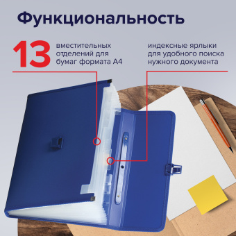 Папка-портфель пластиковая BRAUBERG А4 (332х245х35 мм), 13 отделений, синяя, 221379 за 689 ₽. Портфели пластиковые. Доставка по России. Без переплат!