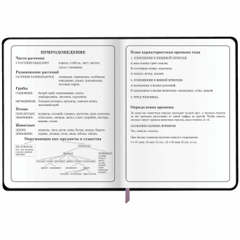 Дневник 1-4 класс 48 л., кожзам (гибкая), печать, фольга, ЮНЛАНДИЯ, "Девочка", 106922 за 164 ₽. Дневники для младших классов. Доставка по России. Без переплат!