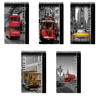 Блокнот А5, 40 л., гребень, ламинированный картон, клетка, Альт, "Города", (5 видов), 3-40-463 за 51 ₽. Блокноты. Доставка по России. Без переплат!