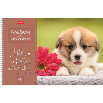 Альбом для рисования А4 40 л., спираль, обложка картон, HATBER, 205х290 мм, "Doggie-Щенки" (4 вида), 067478, 40А4Всп за 110 ₽. Альбомы и папки для рисования. Доставка по России. Без переплат!