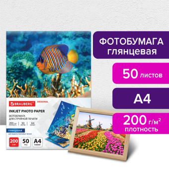 Фотобумага глянцевая, А4, 200 г/м2, односторонняя, 50 листов, BRAUBERG ORIGINAL, 363988 за 381 ₽. Фотобумага. Доставка по России. Без переплат!