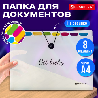 Папка-органайзер на резинке 8 отделений, BRAUBERG "Glassy", А4, прозрачная, 271928 за 224 ₽. Папки пластиковые с отделениями. Доставка по России. Без переплат!