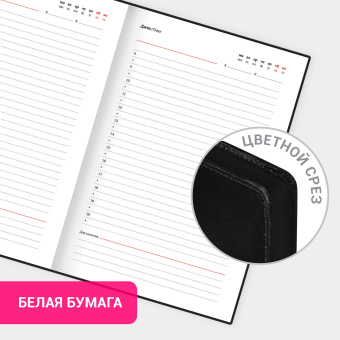 Ежедневник недатированный А5 138х213 мм, BRAUBERG "Safari", под кожу, магнит, 160 л., Leopard, черный, 116592 за 557 ₽. Ежедневники с покрытием "под кожу и ткань". Доставка по России. Без переплат!