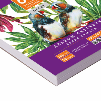 Скетчбук, белая бумага 100 г/м2, 190х190 мм, 60 л., гребень, жёсткая подложка, BRAUBERG ART DEBUT, 110998 за 64 ₽. Альбомы, скетчбуки и бумага для графики и эскизов. Доставка по России. Без переплат!