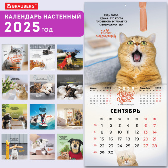 Календарь настенный перекидной на 2025 г., BRAUBERG, 12 листов, 29х29 см, "Не падай духом", 116163 за 36 ₽. Календари настенные. Доставка по России. Без переплат!