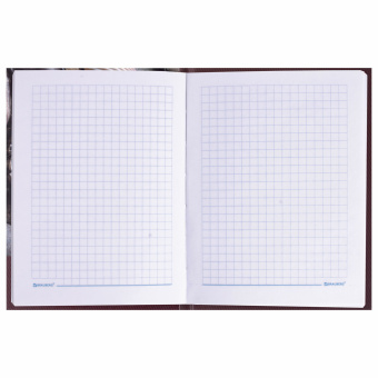 Блокнот МАЛЫЙ ФОРМАТ 110х147 мм, А6, 80 л., твердый, клетка, выборочный лак, BRAUBERG, "Время", 123242 за 105 ₽. Блокноты в книжном переплете. Доставка по России. Без переплат!