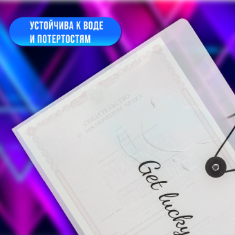 Папка-органайзер на резинке 12 отделений, BRAUBERG "Glassy", А4, прозрачная, 271929 за 252 ₽. Папки пластиковые с отделениями. Доставка по России. Без переплат!