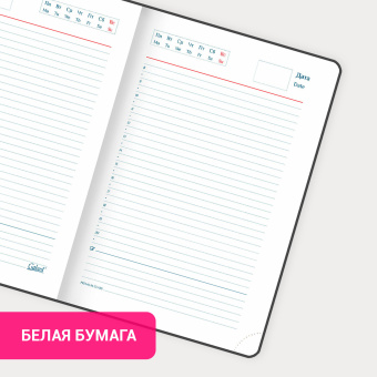 Ежедневник недатированный А5 148х218 мм GALANT "Ritter", под кожу, 160 л., черный, 114464 за 980 ₽. Ежедневники с покрытием "под кожу и ткань". Доставка по России. Без переплат!