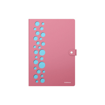 Папка-органайзер на кнопке 4 отделения, ERICH KRAUSE "Diagonal Pastel", 600 мкм, до 150 л., А4, ассорти, 61211 за 381 ₽. Папки пластиковые с отделениями. Доставка по России. Без переплат!