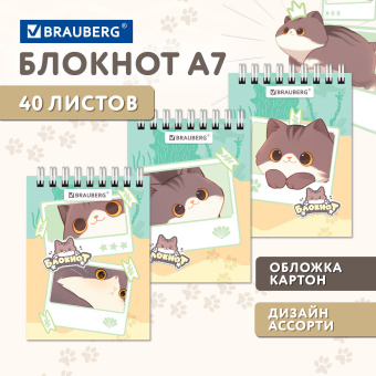 Блокнот МАЛЫЙ ФОРМАТ А7, 75х105 мм, 40 л., гребень, клетка, кросс-серия "МИЛЫЕ КОТЫ", BRAUBERG, 116988 за 16 ₽. Блокноты. Доставка по России. Без переплат!