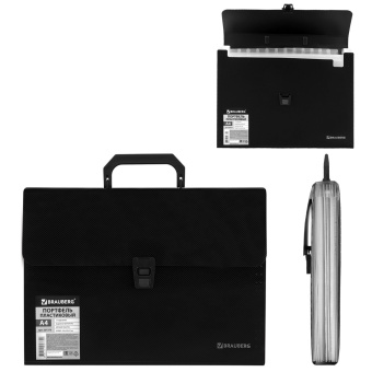 Папка-портфель пластиковая BRAUBERG А4 (332х245х35 мм), 13 отделений, фактура диагональ, черная, 221375 за 640 ₽. Портфели пластиковые. Доставка по России. Без переплат!