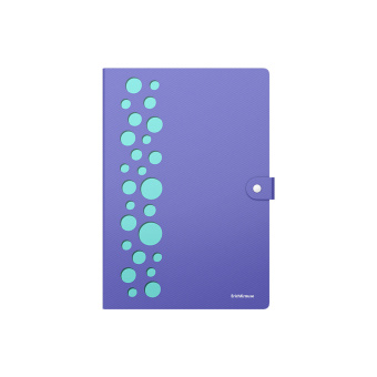 Папка-органайзер на кнопке 4 отделения, ERICH KRAUSE "Diagonal Pastel", 600 мкм, до 150 л., А4, ассорти, 61211 за 381 ₽. Папки пластиковые с отделениями. Доставка по России. Без переплат!