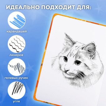 Скетчбук, белая бумага 120 г/м2, 145х203 мм, 80 л., резинка, твердый, FUNSTER (ФАНСТЕР), "Пухляши", 116898 за 253 ₽. Альбомы, скетчбуки и бумага для графики и эскизов. Доставка по России. Без переплат!