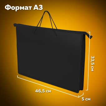 Папка для рисунков и чертежей ПИФАГОР А3, пластик, черная, 271135 за 285 ₽. Портфели и папки для рисунков и чертежей. Доставка по России. Без переплат!