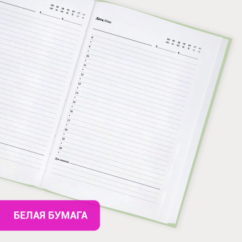 Ежедневник недатированный с резинкой А5 145х203 мм, BRAUBERG, твердый, 160 л., "Minimal", зеленый, 116303 за 339 ₽. Ежедневники с твердой обложкой. Доставка по России. Без переплат!