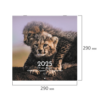 Календарь настенный перекидной на 2025 г., BRAUBERG, 12 листов, 29х29 см, "Детёныши", 116171 за 36 ₽. Календари настенные. Доставка по России. Без переплат!