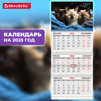 Календарь квартальный на 2025 г., 3 блока, 3 гребня, с бегунком, мелованная бумага, BRAUBERG, "Милые котики", 116138 за 59 ₽. Календари настенные. Доставка по России. Без переплат!