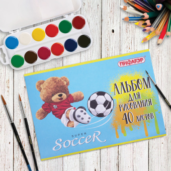 Альбом для рисования А4 40 л., скоба, обложка офсет, ПИФАГОР, 203х288 мм, "Тедди" (2 вида), 106701 за 75 ₽. Альбомы и папки для рисования. Доставка по России. Без переплат!