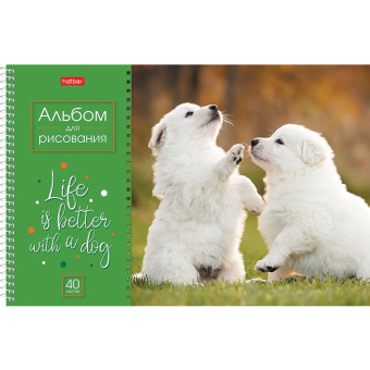 Альбом для рисования А4 40 л., спираль, обложка картон, HATBER, 205х290 мм, "Doggie-Щенки" (4 вида), 067478, 40А4Всп за 110 ₽. Альбомы и папки для рисования. Доставка по России. Без переплат!