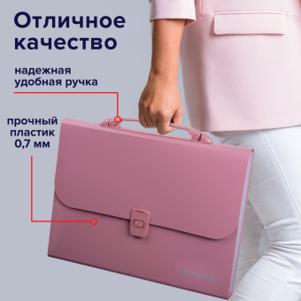 Папка-портфель пластиковая BRAUBERG А4 (327х254х30 мм), 13 отделений, розовая, 221441 за 709 ₽. Портфели пластиковые. Доставка по России. Без переплат!