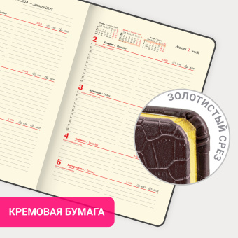 Еженедельник датированный 2025 А5 145х215 мм BRAUBERG "Comodo", под кожу, темно-коричневый, 115956 за 94 ₽. Еженедельники. Доставка по России. Без переплат!