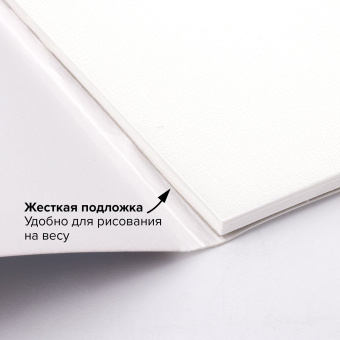 Папка для акварели/планшет, 300 г/м2, 270х390 мм, склейка, среднее зерно, 20 л., BRAUBERG ART PREMIERE, 113248 за 568 ₽. Альбомы и бумага для акварели и масла. Доставка по России. Без переплат!