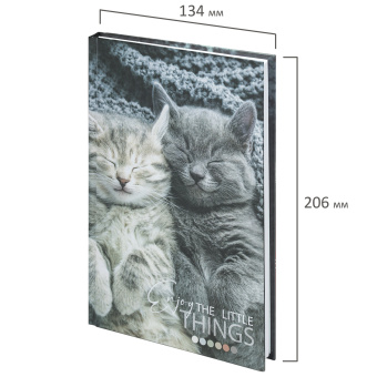 Блокнот А5 (134х206 мм), 80 л., твёрдый, клетка, STAFF, "Котики", 114413 за 83 ₽. Блокноты в книжном переплете. Доставка по России. Без переплат!