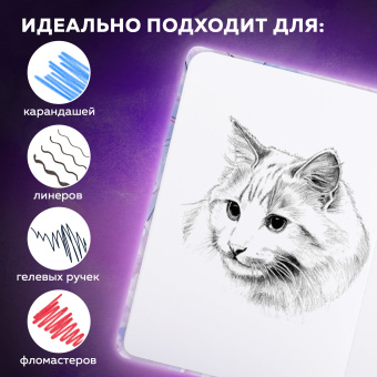 Скетчбук, белая бумага 80 г/м2, 145х203 мм, 80 л., резинка, твердый, BRAUBERG ART DEBUT "Аниме", 114578 за 196 ₽. Альбомы, скетчбуки и бумага для графики и эскизов. Доставка по России. Без переплат!