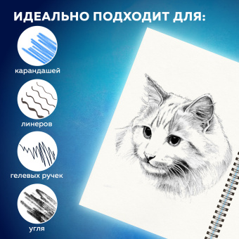 Скетчбук, белая бумага 160 г/м2, 145х203 мм, 64 л., резинка, твердый, BRAUBERG ART CLASSIC "Ван Гог", 114590 за 240 ₽. Альбомы, скетчбуки и бумага для графики и эскизов. Доставка по России. Без переплат!