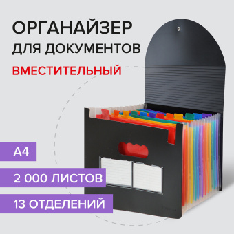 Папка-органайзер для бумаг и документов на резинке, 13 отделений, BRAUBERG DOCS, А4, черная, 271152 за 586 ₽. Папки пластиковые с отделениями. Доставка по России. Без переплат!