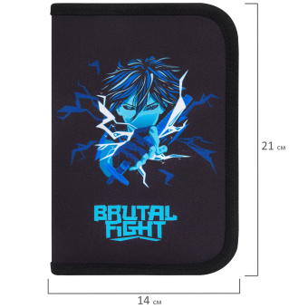 Пенал BRAUBERG с наполнением, 1 отделение, 1 откидная планка, 24 предмета, 21х14 см, "Anime fight", 272354 за 622 ₽. Пеналы с наполнением. Доставка по России. Без переплат!