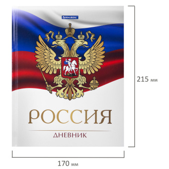 Дневник 5-11 класс 48 л., твердый, BRAUBERG, глянцевая ламинация, с подсказом, "Символика 2", 106067 за 103 ₽. Дневники для старших классов. Доставка по России. Без переплат!