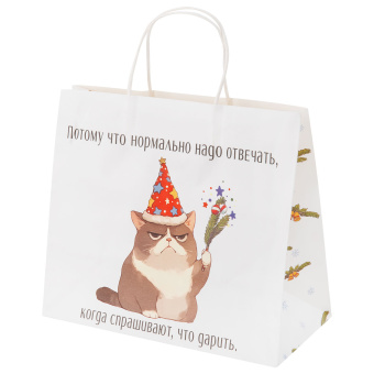 Пакет подарочный (1 штука), новогодний, 28х14х24 см, с изображением КОТИКОВ, крафт, ассорти, ЗОЛОТАЯ СКАЗКА, 592433 за 53 ₽. Пакеты подарочные новогодние. Доставка по России. Без переплат!