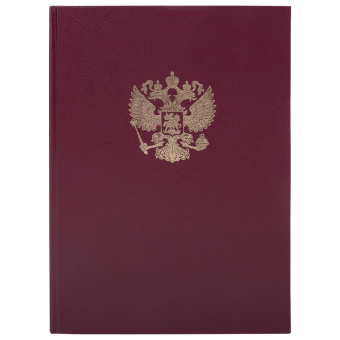 Книга учета 96 л., клетка, твердая, бумвинил, офсет, герб, А4 (200х290 мм), BRAUBERG, бордовая, 130276 за 241 ₽. Книги учета универсальные. Доставка по России. Без переплат!