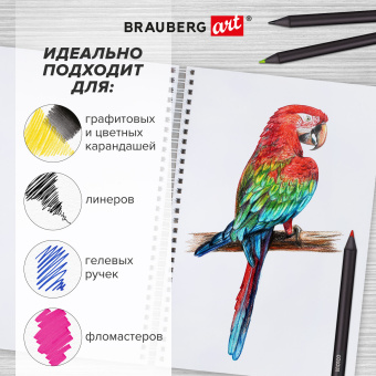 Скетчбук, белая бумага, 160 г/м2, плотная, 15х21 см, 60 л., гребень, твердая обложка, КРАФТ, BRAUBERG ART CLASSIC, 116365 за 166 ₽. Альбомы, скетчбуки и бумага для графики и эскизов. Доставка по России. Без переплат!