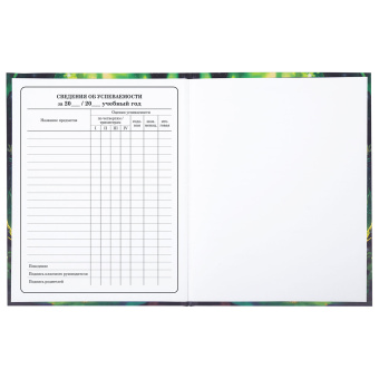 Дневник 1-4 класс 48 л., твердый, BRAUBERG, блестки, с подсказом, "Фея", 106840 за 26 ₽. Дневники для младших классов. Доставка по России. Без переплат!