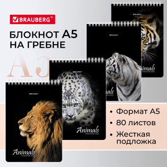 Блокнот А5 (146х206 мм), 80 л., гребень, картон, жесткая подложка, клетка, BRAUBERG, "Хищники", 114385 за 54 ₽. Блокноты. Доставка по России. Без переплат!